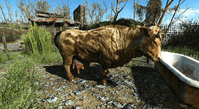 Fallout 4 — Новая расцветка Браминов (Ceanos Brahmin) | Fallout 4 моды