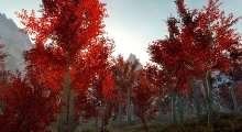 Skyrim — Красные осенние листья