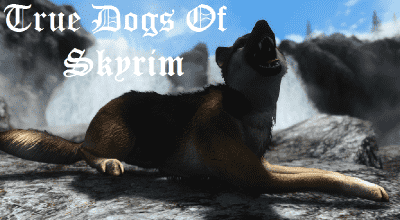 Skyrim — Реалистичные Собаки. Ретекстур