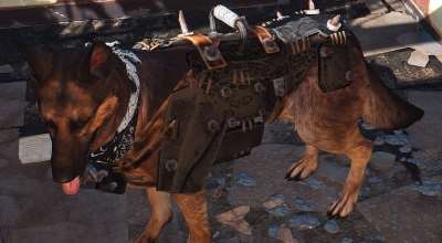 Fallout 4 — Черная броня для Псины (Dogmeat Black Armor) | Fallout 4 моды