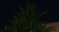 GTA San Andreas — модель «Пальмы и деревья»
