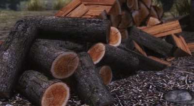 Skyrim — Реплейсер дров, коры, грибов на деревьях | Skyrim моды