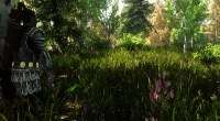 Skyrim — В 100 раз более густая трава | Skyrim моды