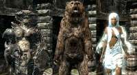 Skyrim — броня медведя, грязекраба и дымка / Mudcrab Bear Wisp Armor