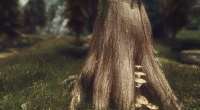 Skyrim — Новые текстуры для стволов деревьев и дров | Skyrim моды