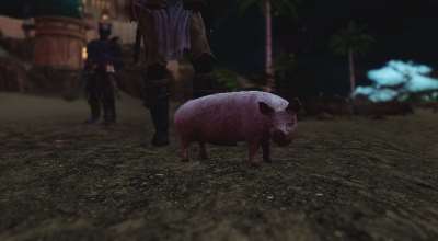 Skyrim —  Компаньон свинка Пэгги