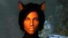 Skyrim — кошачьи уши для девушек