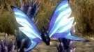 Skyrim — текстуры для бабочек | Skyrim моды