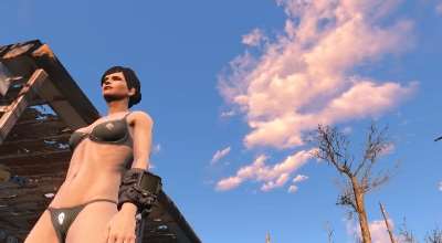 Fallout 4 — Стринги (Thong Underwear)